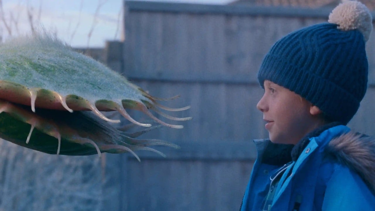 A boy and his, er, plant. Pic: John Lewis & Partners